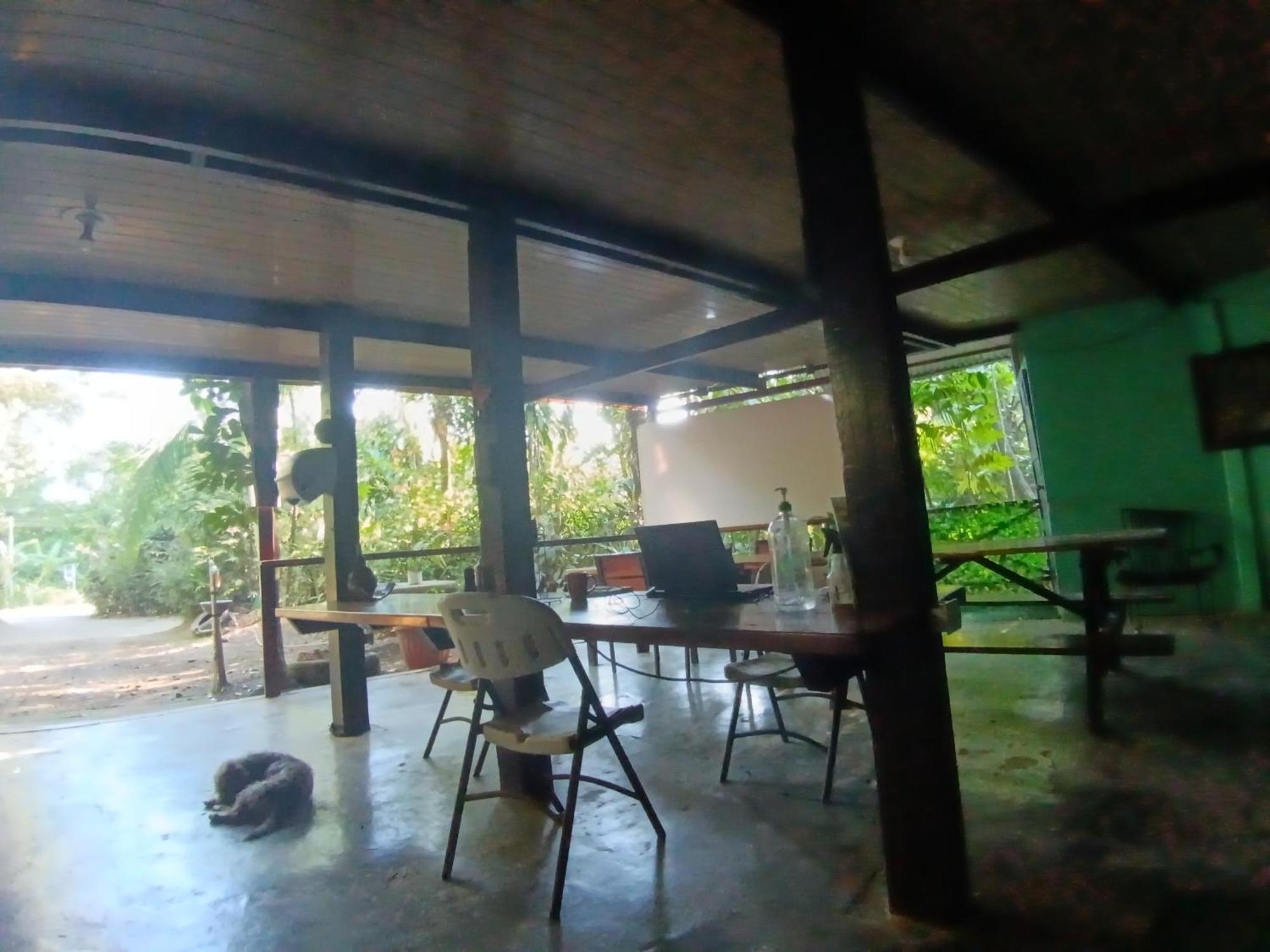 Nativos Corcovado Cabins Drake Bay Exterior photo
